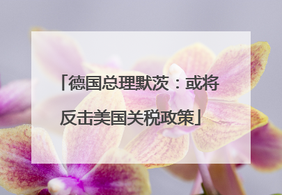 德国总理默茨：或将反击美国关税政策