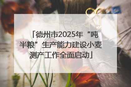 德州市2025年“吨半粮”生产能力建设小麦测产工作全面启动