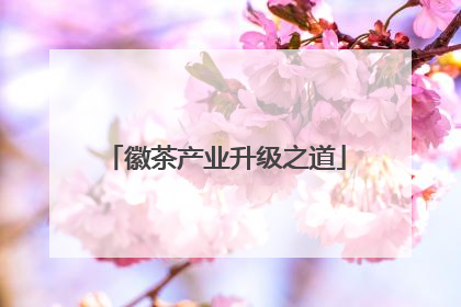 徽茶产业升级之道