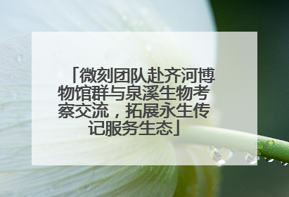 微刻团队赴齐河博物馆群与泉溪生物考察交流，拓展永生传记服务生态