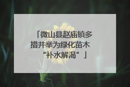 微山县赵庙镇多措并举为绿化苗木“补水解渴”