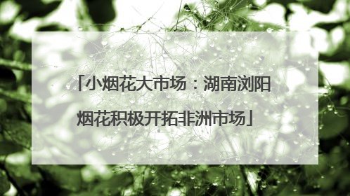 小烟花大市场：湖南浏阳烟花积极开拓非洲市场