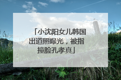 小沈阳女儿韩国出道照曝光，被指撞脸孔孝真