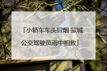 小轿车车头冒烟 蒙城公交驾驶员雨中相救