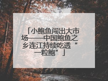 小鲍鱼闯出大市场——中国鲍鱼之乡连江持续吃透“一粒鲍”