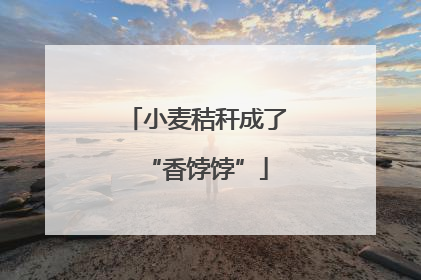 小麦秸秆成了“香饽饽”