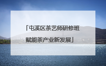 屯溪区茶艺师研修班赋能茶产业新发展