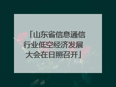 山东省信息通信行业低空经济发展大会在日照召开