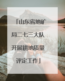 山东省地矿局二七三大队开展耕地质量评定工作