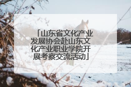 山东省文化产业发展协会赴山东文化产业职业学院开展考察交流活动
