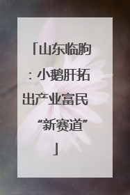 山东临朐：小鹅肝拓出产业富民“新赛道”