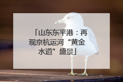 山东东平港：再现京杭运河“黄金水道”盛景