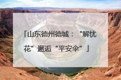 山东德州德城：“解忧花”邂逅“平安伞”