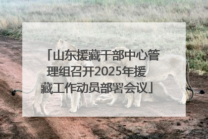 山东援藏干部中心管理组召开2025年援藏工作动员部署会议