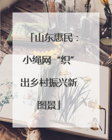 山东惠民：小绳网“织”出乡村振兴新图景