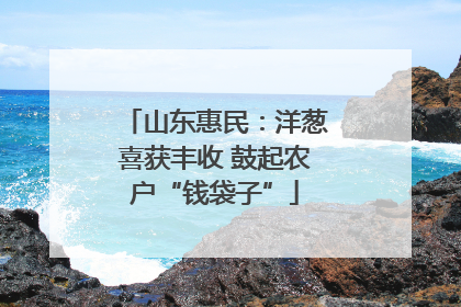 山东惠民：洋葱喜获丰收 鼓起农户“钱袋子”