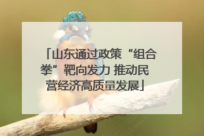 山东通过政策“组合拳”靶向发力 推动民营经济高质量发展