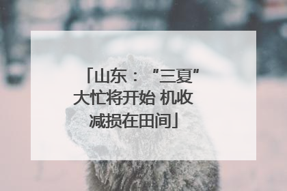 山东：“三夏”大忙将开始 机收减损在田间