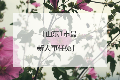 山东1市最新人事任免