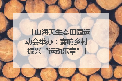 山海天生态田园运动会举办：奏响乡村振兴“运动乐章”