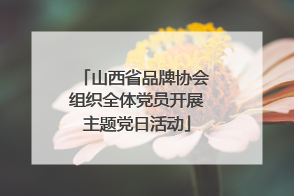 山西省品牌协会组织全体党员开展主题党日活动