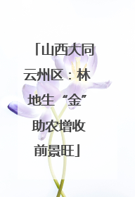 山西大同云州区：林地生“金” 助农增收前景旺