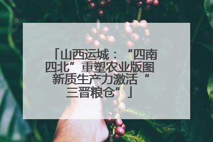 山西运城：“四南四北”重塑农业版图 新质生产力激活“三晋粮仓”