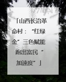 山西长治革命村：“红绿金”三色赋能 跑出富民“加速度”