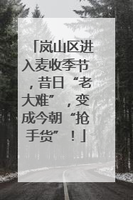 岚山区进入麦收季节，昔日“老大难”，变成今朝“抢手货”！