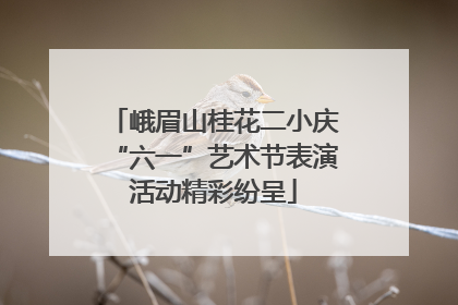 峨眉山桂花二小庆“六一”艺术节表演活动精彩纷呈