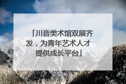 川音美术馆双展齐发，为青年艺术人才提供成长平台