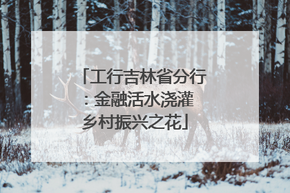 工行吉林省分行：金融活水浇灌 乡村振兴之花