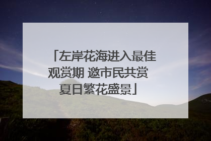 左岸花海进入最佳观赏期 邀市民共赏夏日繁花盛景