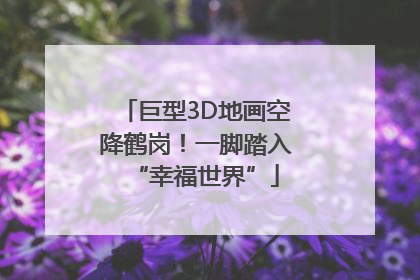 巨型3D地画空降鹤岗！一脚踏入“幸福世界”