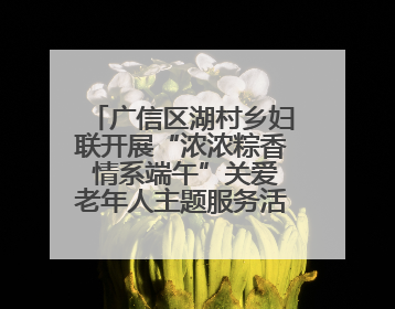 广信区湖村乡妇联开展“浓浓粽香 情系端午”关爱老年人主题服务活动（图）