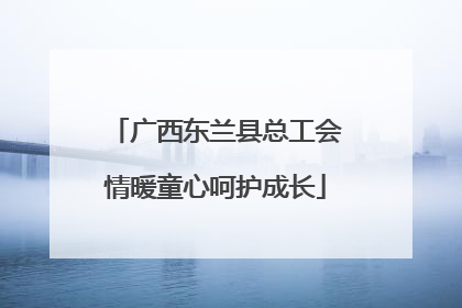 广西东兰县总工会情暖童心呵护成长