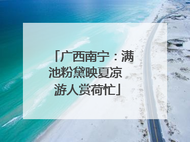 广西南宁：满池粉黛映夏凉 游人赏荷忙