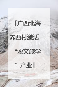 广西北海赤西村激活“农文旅学”产业