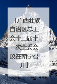 广西壮族自治区总工会十三届十二次全委会议在南宁召开