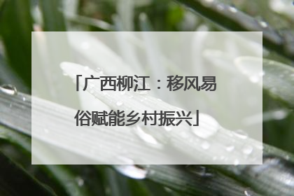 广西柳江：移风易俗赋能乡村振兴