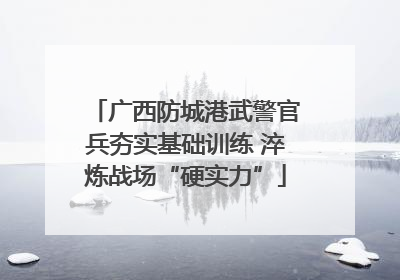 广西防城港武警官兵夯实基础训练 淬炼战场“硬实力”