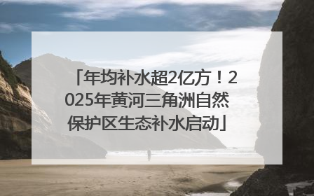 年均补水超2亿方！2025年黄河三角洲自然保护区生态补水启动