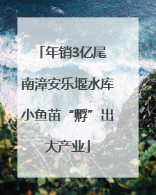 年销3亿尾 南漳安乐堰水库小鱼苗“孵”出大产业