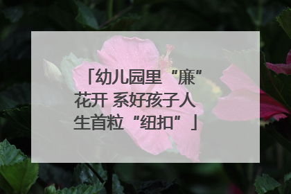 幼儿园里“廉”花开 系好孩子人生首粒“纽扣”