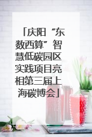 庆阳“东数西算”智慧低碳园区实践项目亮相第三届上海碳博会