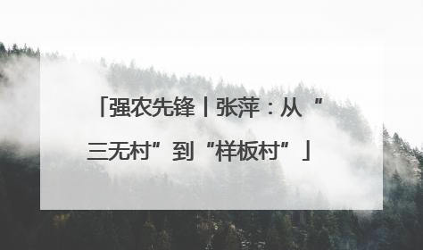 强农先锋丨张萍：从“三无村”到“样板村”