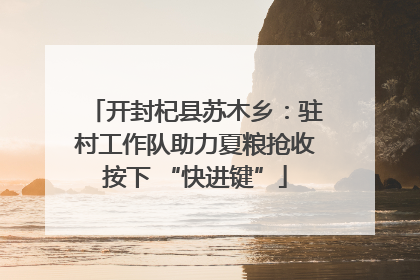 开封杞县苏木乡：驻村工作队助力夏粮抢收按下 “快进键”