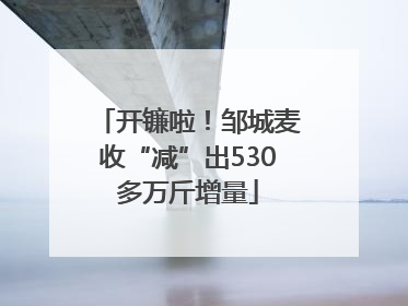 开镰啦！邹城麦收“减”出530多万斤增量