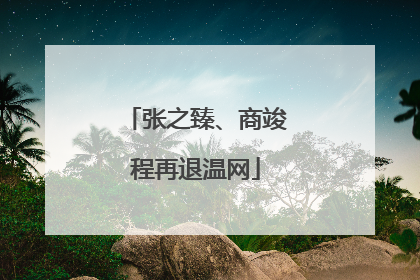 张之臻、商竣程再退温网