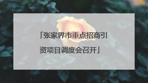 张家界市重点招商引资项目调度会召开